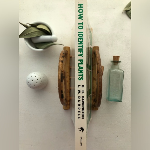 Other How To Identify Plants By Hd Harrington Illustrated By Ld